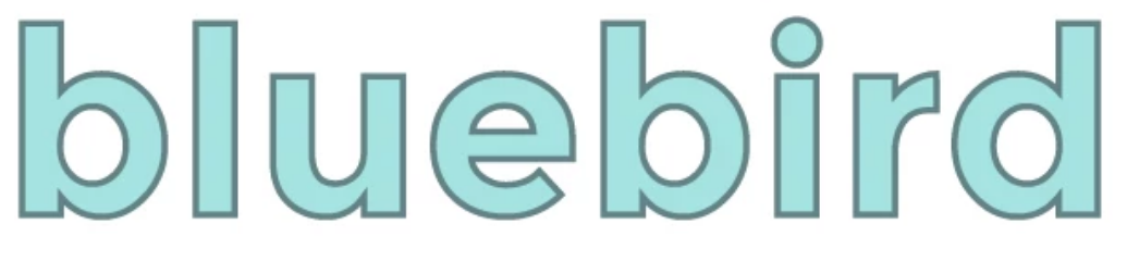 Teknikio Bluebird - Blocks / Javascript Editor